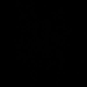 Meet your Posher, Violet